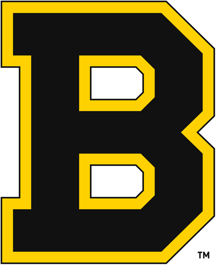 Boston Bruins 1934-1949 Primary Logo iron on transfers for fabric